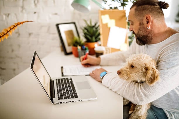 pet business owner taking notes and optimizing website with dog in lap