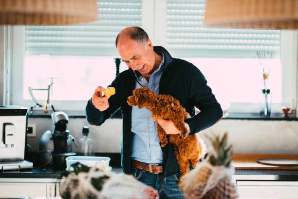 man in kitchen feeding pups a treat