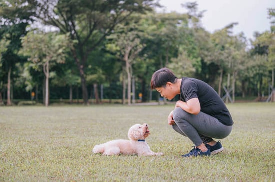 A man looks at a dog while outside
