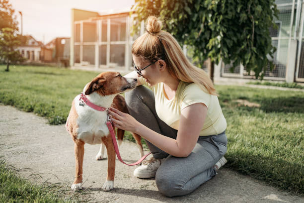 A woman working at a dog kennel pets a dog