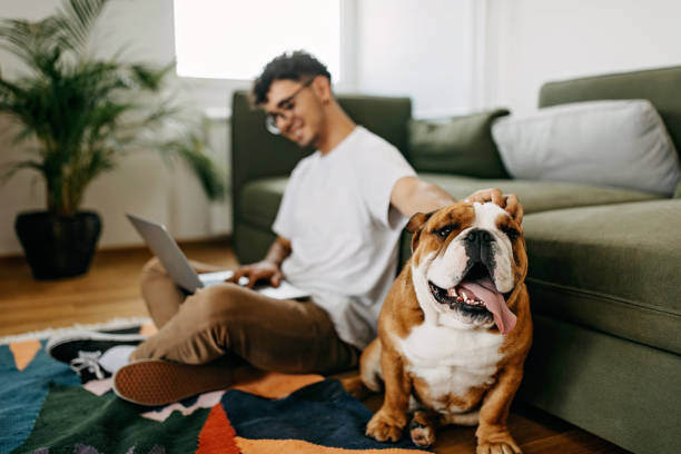 A man uses a laptop while petting a dog