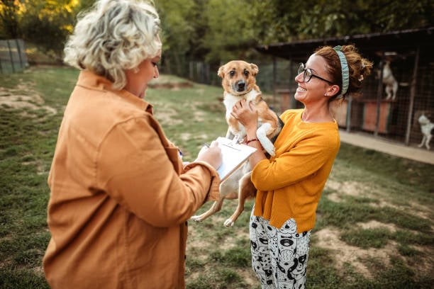 pet-care business owner with clipboard taking notes on dog at kennel