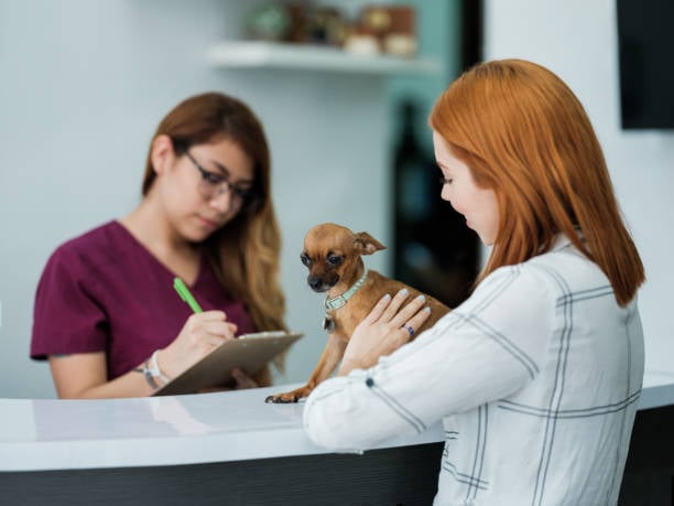pet-care receptionist filling out clipboard form with pet parent and dog