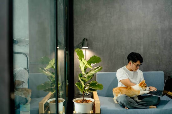 A man uses a laptop as a dog sits on his lap