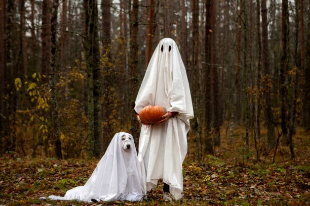 ghost dog and person with pumpkin