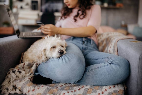 A dog sleeps on a woman's lap