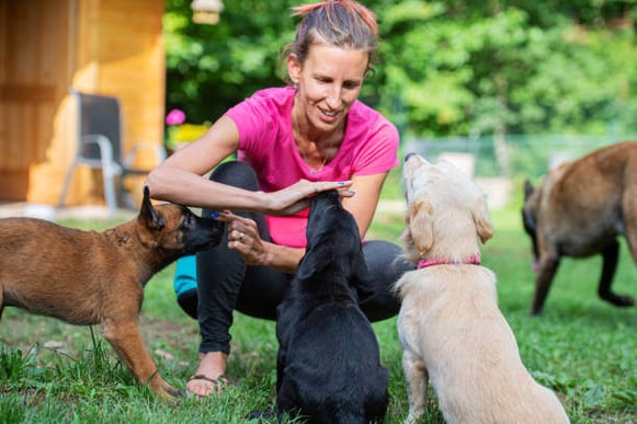 A woman trains a group of dogs outside.