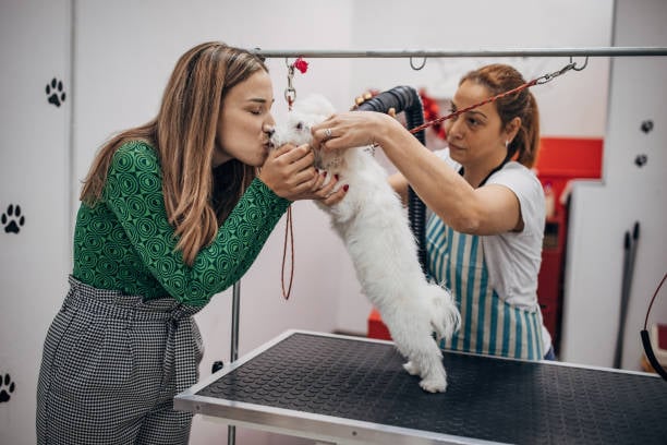 pet parent kissing dog during grooming process, regular grooming appointments, dog squeaky clean