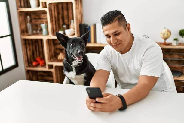 dog and man looking at phone and smiling