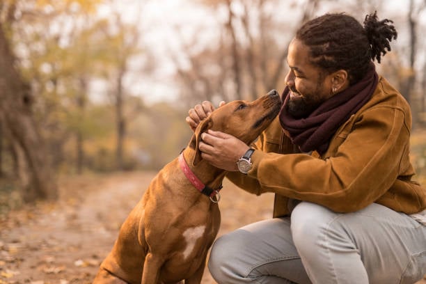 pet parent with dog outside in the woods during fall