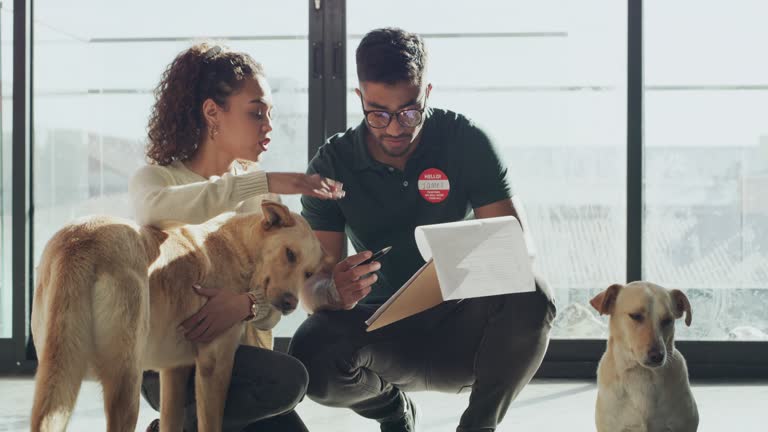 Relocating Your Pet Business: 5 Things to Consider