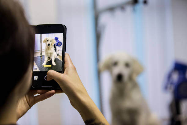 groomer taking photo of dog