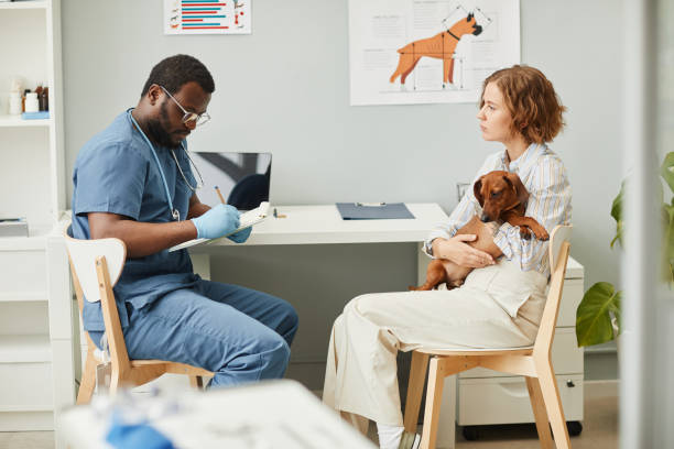 pet parent and dog speaking with a vet before a stay in a dog boarding facility
