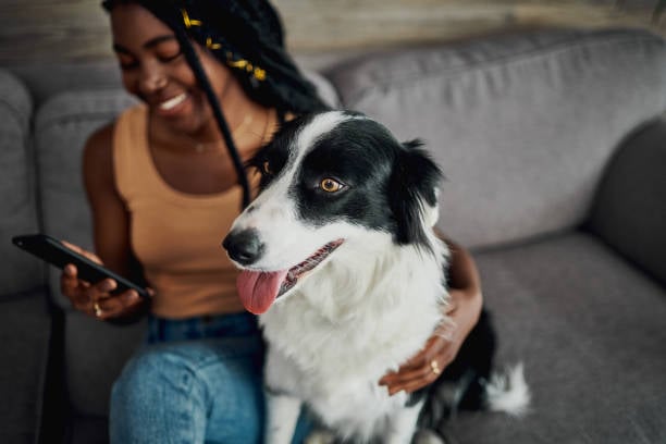 woman on pet parent mobile app adding her dog's info