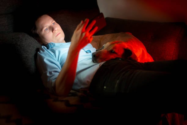 pet business owner up late looking at phone with dog