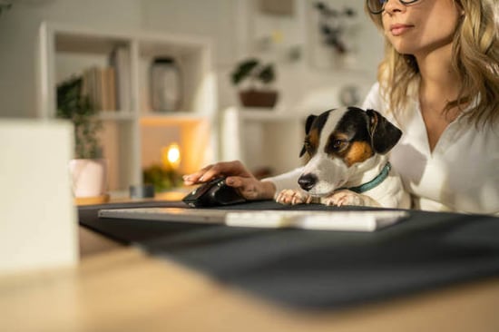A woman uses a computer as a dog sits on her lap