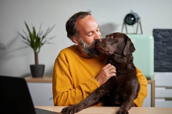 A man kisses his dog