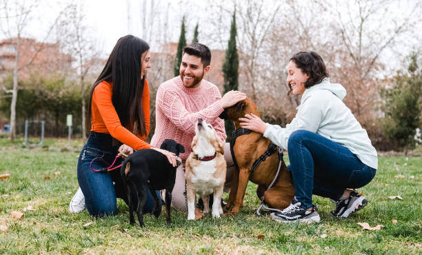 Building a Strong Team Culture in Your Pet-Care Business
