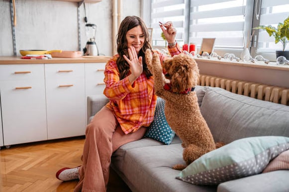 A woman gives a dog a high five