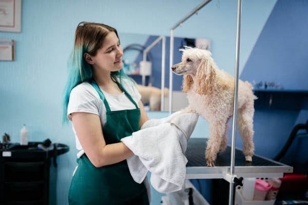 A woman grooms a dog