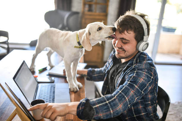 Automating Your Pet-Care Business for Maximum Efficiency