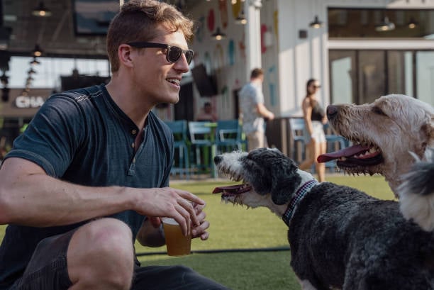 man and wet dogs smiling outside at dog bar