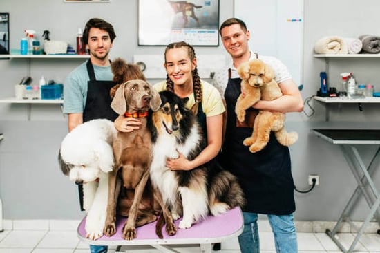 Pet grooming team