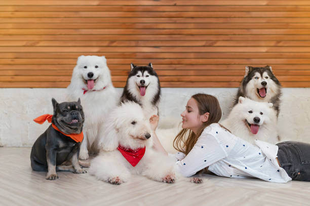 A woman lays on the floor next to dogs