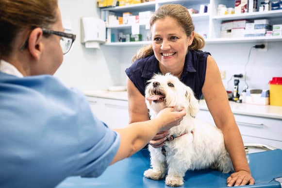 A woman stands next to her dog as it sits on an exam table
