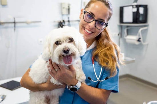 A pet-care staff member hugs a dog