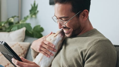 Online Tools to Boost Your Pet-Care Business Efficiency