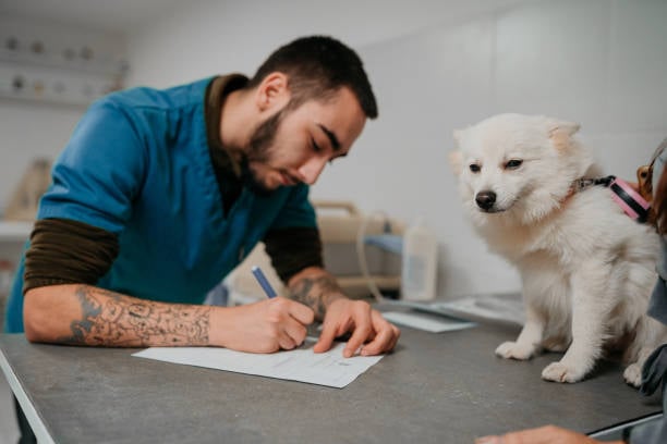 pet-care business owner filling out paper form with dog