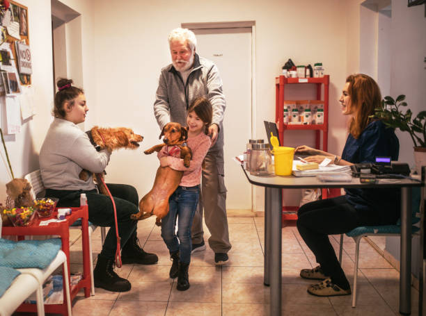 busy dog training business lobby