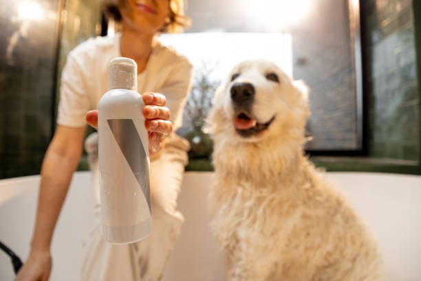 groomer showing new shampoo in online post