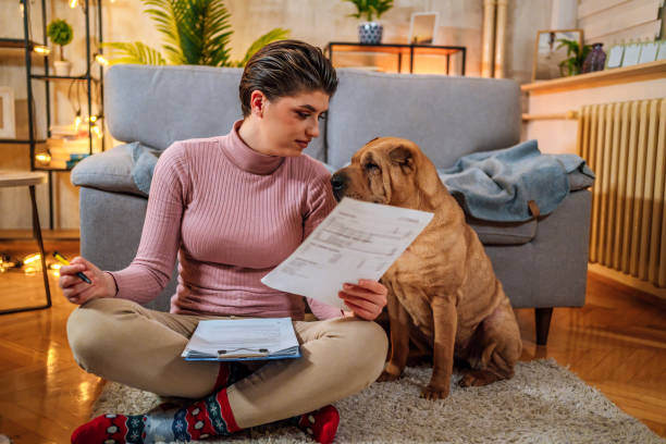 Disaster Preparedness for Pet Businesses