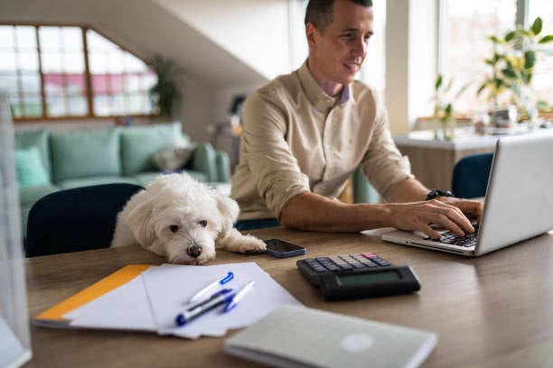 man on computer filing legal paperwork with dog