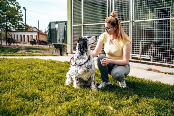 dog kennel owner outside with a checked-in pup