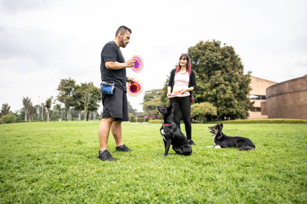 dog trainer with pet parent showing her a trick to do with her dogs