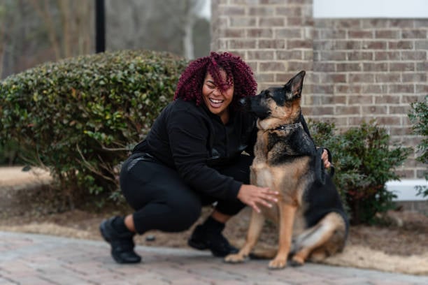 happy pet parent and german shepherd 