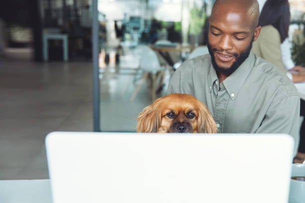 dog boarding business owner using lodging calendar with pup