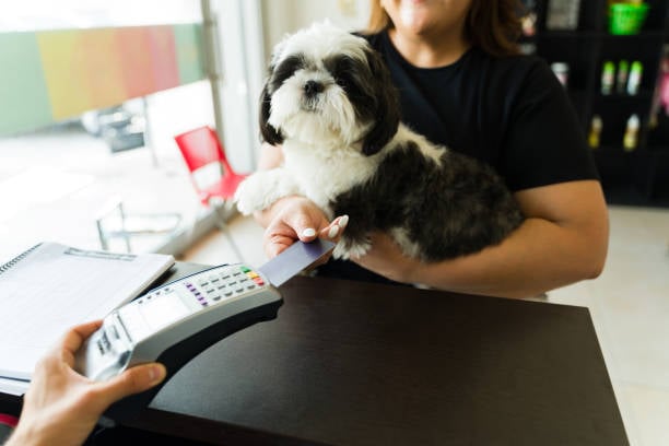 pet parent putting credit card in machine while holding dog