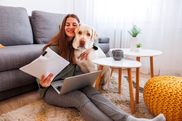 pet business owner and dog reviewing end-of-year reports on laptop