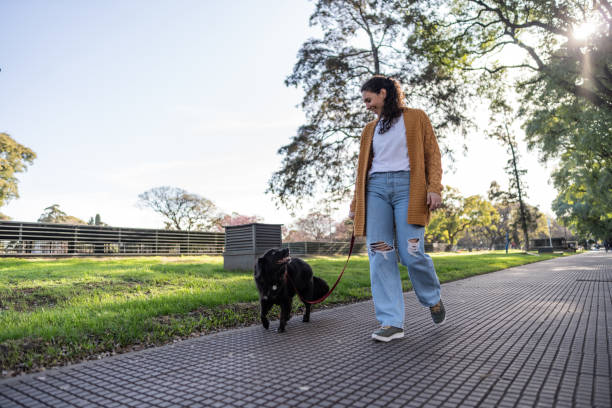 A dog looks up at its' owner as they walk outside