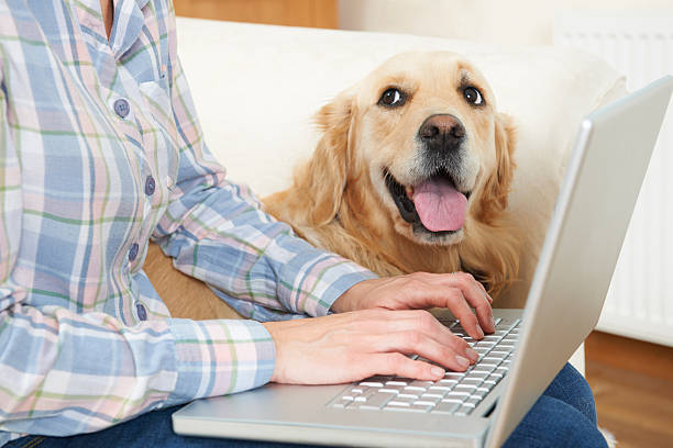 Tail-Wagging Marketing Strategies for Your Dog Care Business
