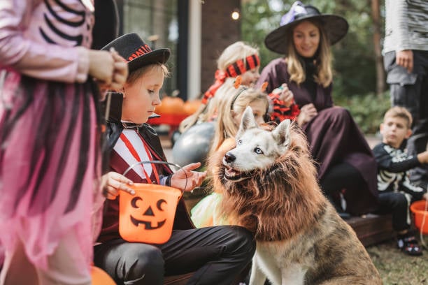 dog dressed up as lion with costumed kids at halloween fall festival