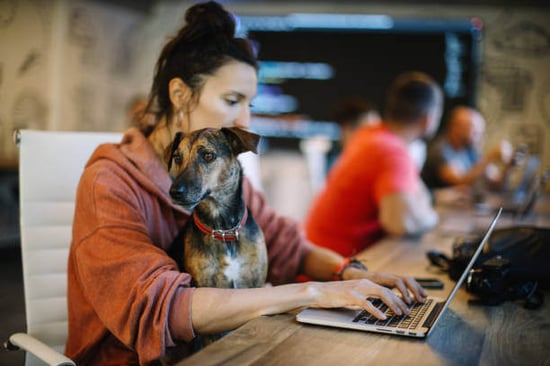 A woman uses a laptop as a dog sits on her lap