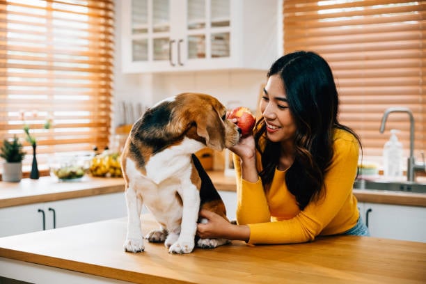 pet parent and dog sharing an apple