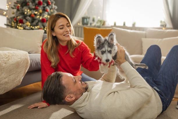 couple playing with new puppy with house decorated for holidays