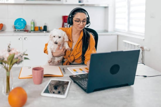 A woman uses a laptop as a dog sits on her lap