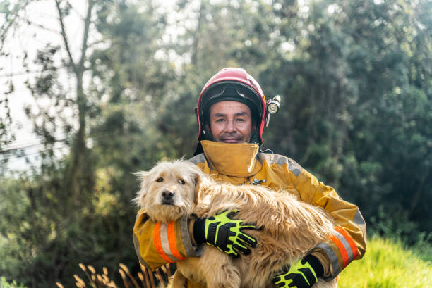 firefighters and dog rescue 